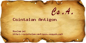 Csintalan Antigon névjegykártya